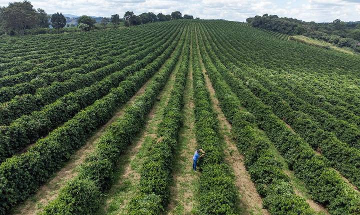 Agrishow 2026: Com o maior crédito rural da história, SP anuncia pacote de R$ 455 mi para o agro paulista