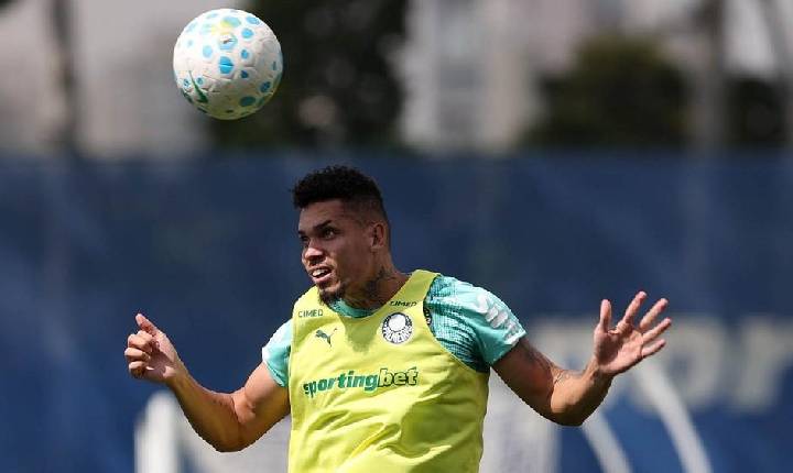 Com Paulinho, Palmeiras inicia preparativos para enfrentar o Santos