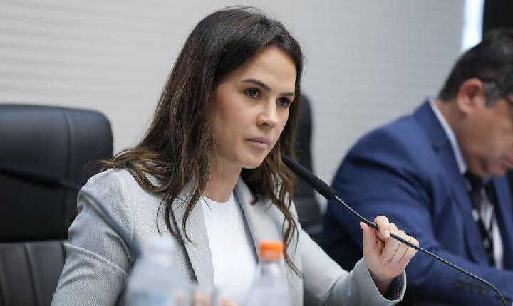 Comissão de Saúde da Alesp é um compromisso com a Saúde e bem-estar