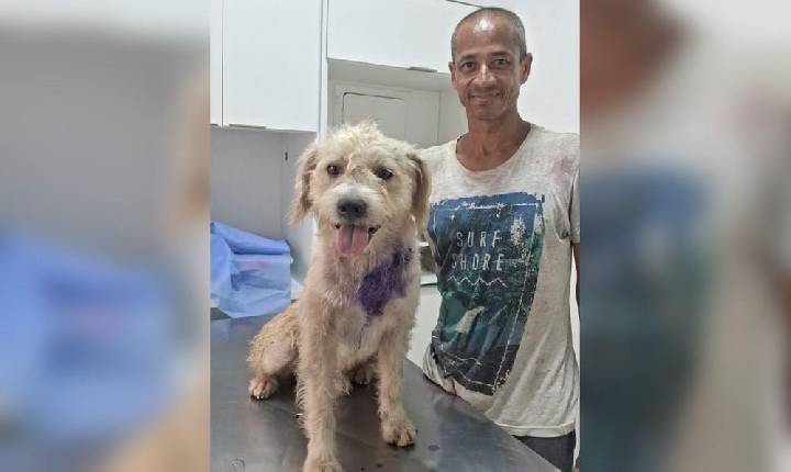 Homem em situação de rua deixa carta em ONG pedindo ajuda para cão doente no interior de SP: 'Por favor, me ajudem, eu imploro'