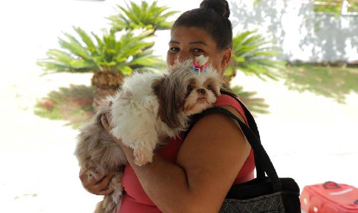 Prefeitura abre agendamento para castração de pets dia 6 de maio