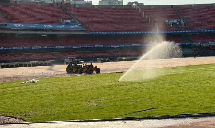 São Paulo inicia instalação de novo gramado do Morumbis