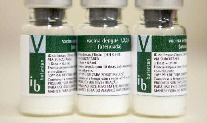 Suspensão da vacina da dengue do Butantan: quais os próximos passos após anúncio do Ministério da Saúde?