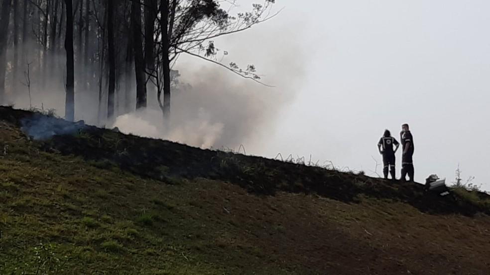 Avião cai em área de mata e quatro pessoas morrem em Piracicaba