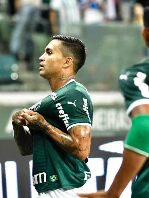 Palmeiras