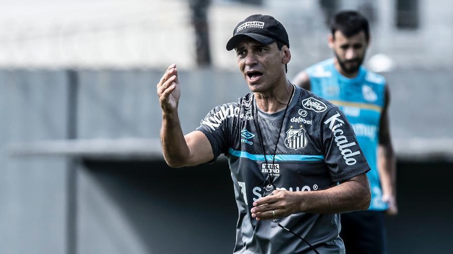 Entenda por que a Copa Sul-Americana ganhou ainda mais importância para o Santos