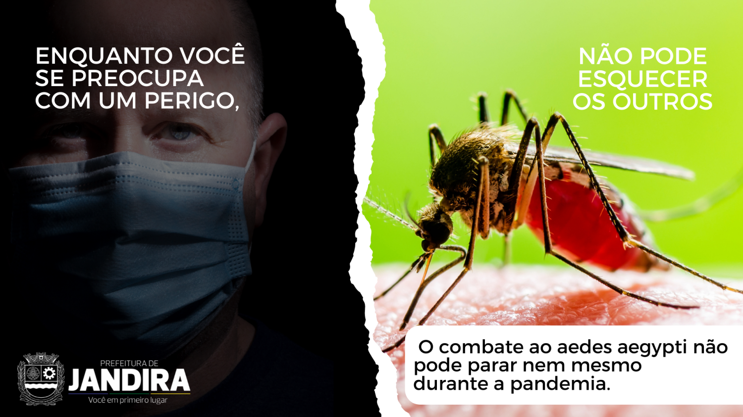 Combate à dengue: a importância de uma prevenção contínua mesmo durante a pandemia