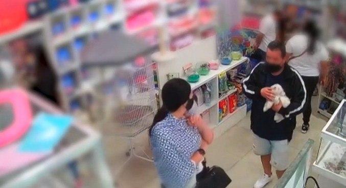 Oito cachorros são roubados por dia no Brasil; SP lidera ranking