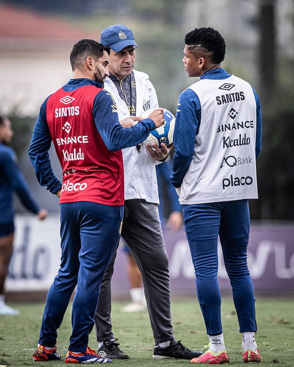 Foco no acesso: os pontos que o Santos deve trabalhar para evitar nova crise e confirmar favoritismo