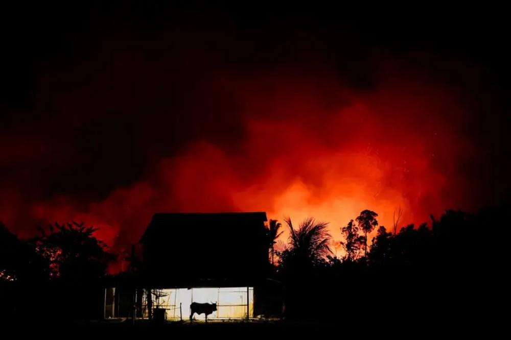 Área de floresta nativa atingida pelo fogo na Amazônia cresce 132% em agosto, aponta relatório