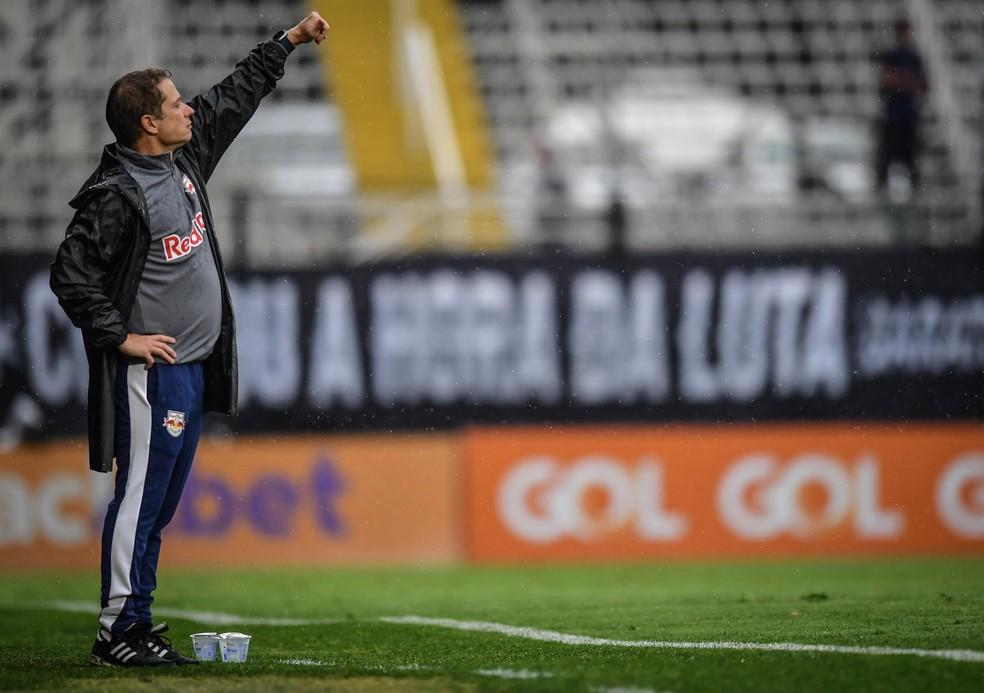 Fernando Seabra mira trabalho para melhorar efetividade do Bragantino: 