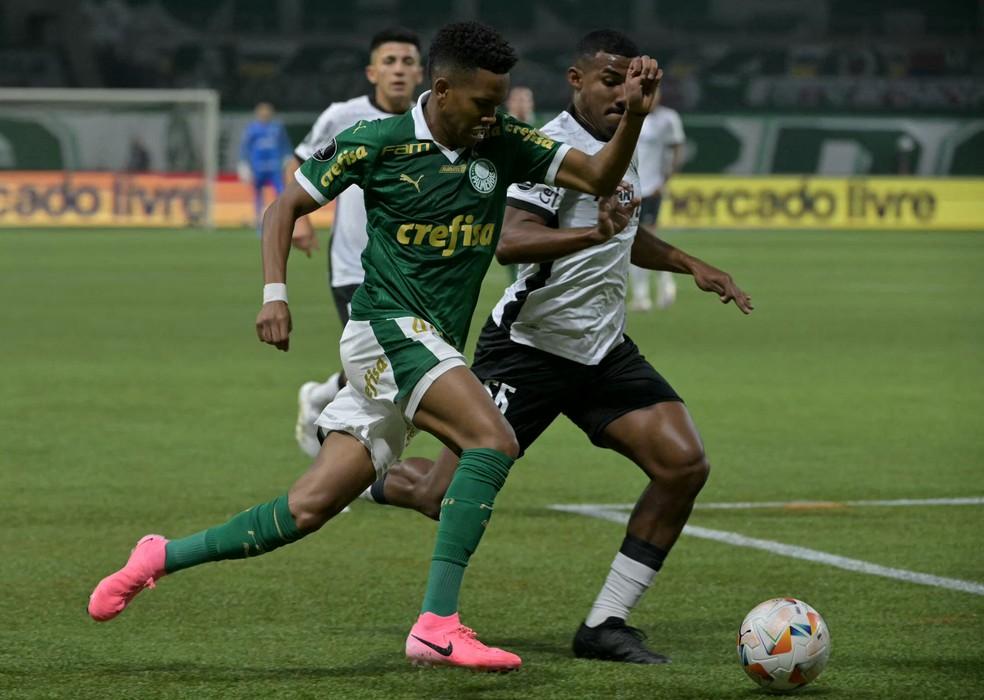 Palmeiras inverte favoritismo e vai a quase 70% de chances de título brasileiro contra 29% do Botafogo