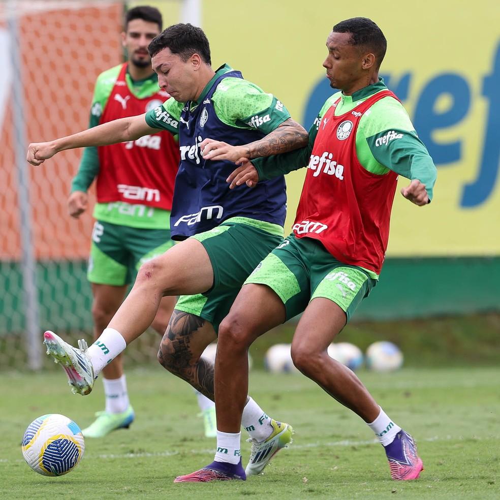 Thalys e Allan completam treino do Palmeiras em dia de atividade técnica