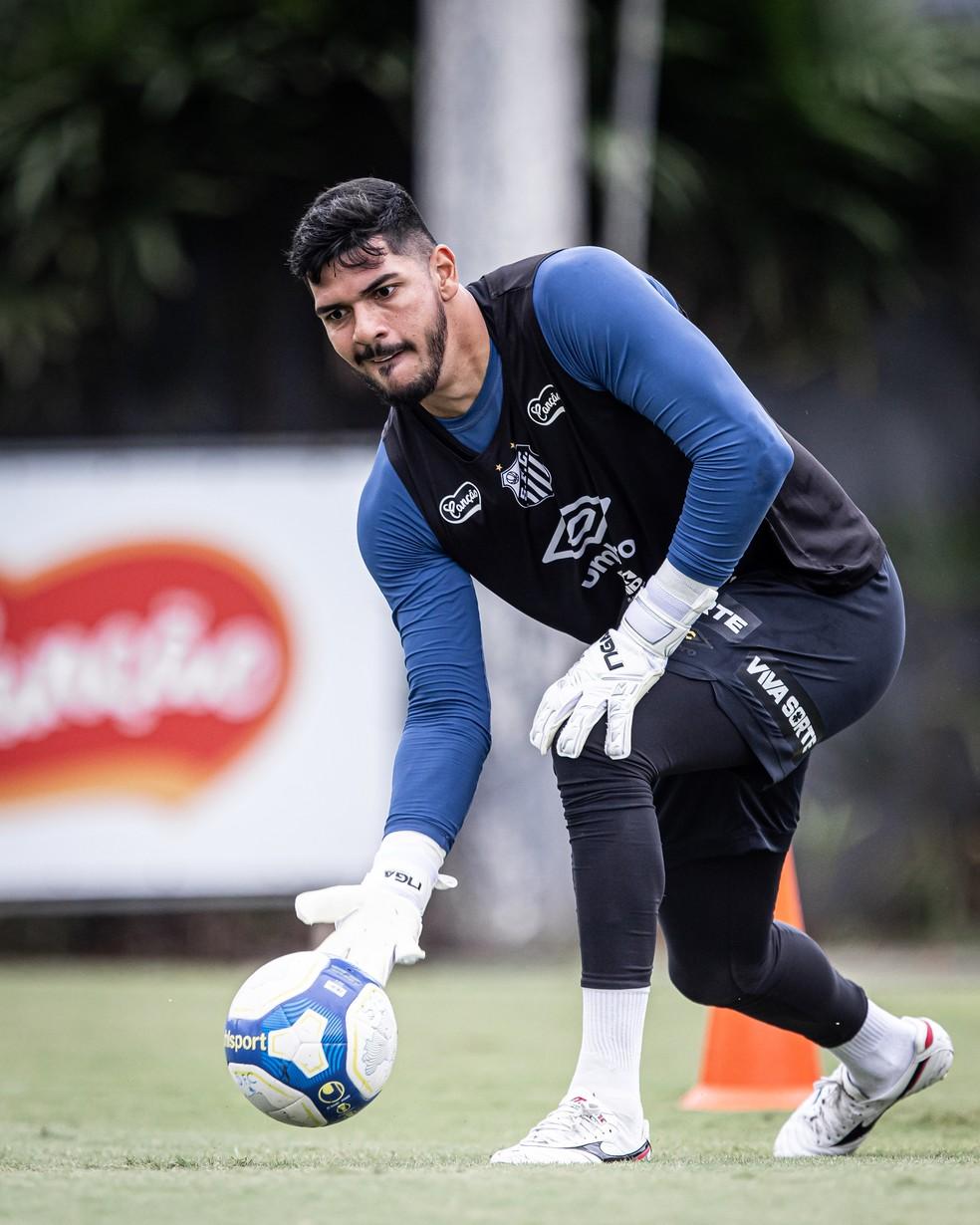 Termômetro do elenco: quem fica e quem deve sair do Santos em 2025