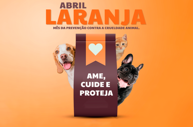 Câmara Municipal aprova moção em apoio ao Abril Laranja