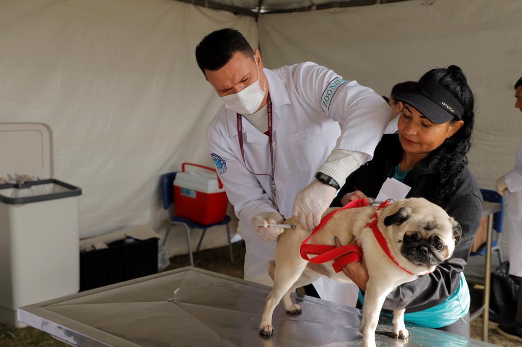 A Prefeitura de Barueri celebra com muito sucesso a edição do Dia Animal com mais de 2 mil atendimentos