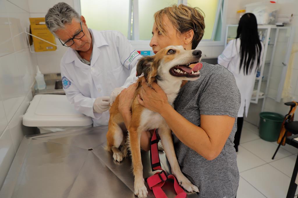 Secretaria de Saúde anuncia que a vacinação contra raiva para cães e gatos continua em julho em Barueri