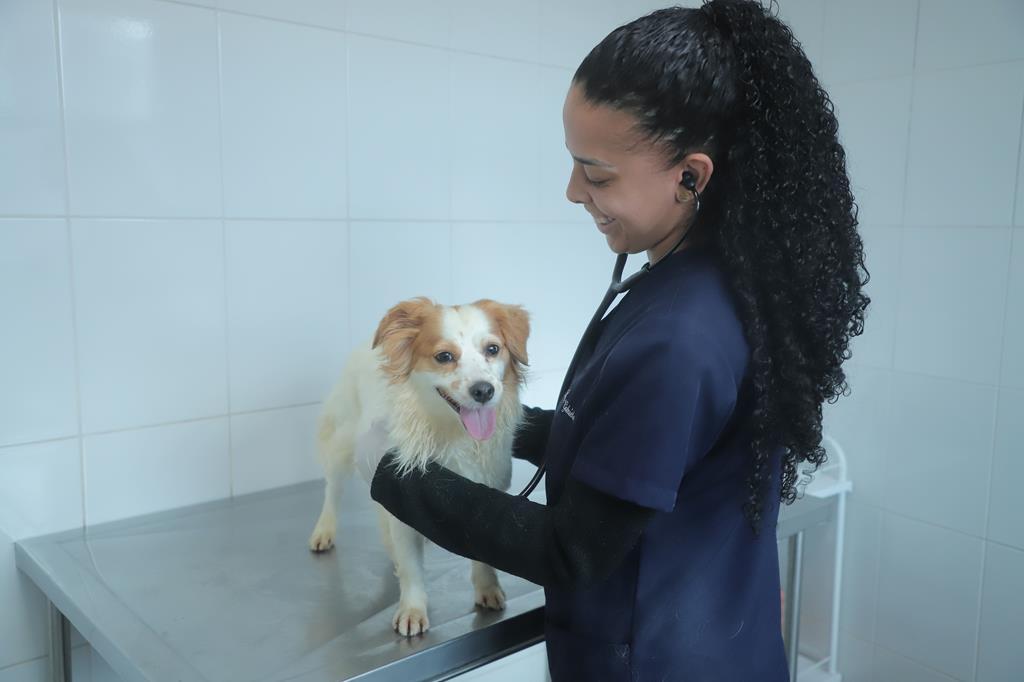 Agendamento de castração de pets de novembro será aberto no dia 5