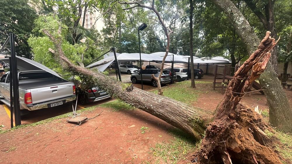 Após ventania, Grande SP amanhece com mais de 1,5 milhão de imóveis sem luz