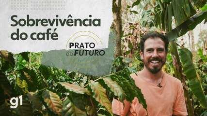 Café tem maior alta da cesta básica em 2025, e preço deve manter patamar atual, diz indústria