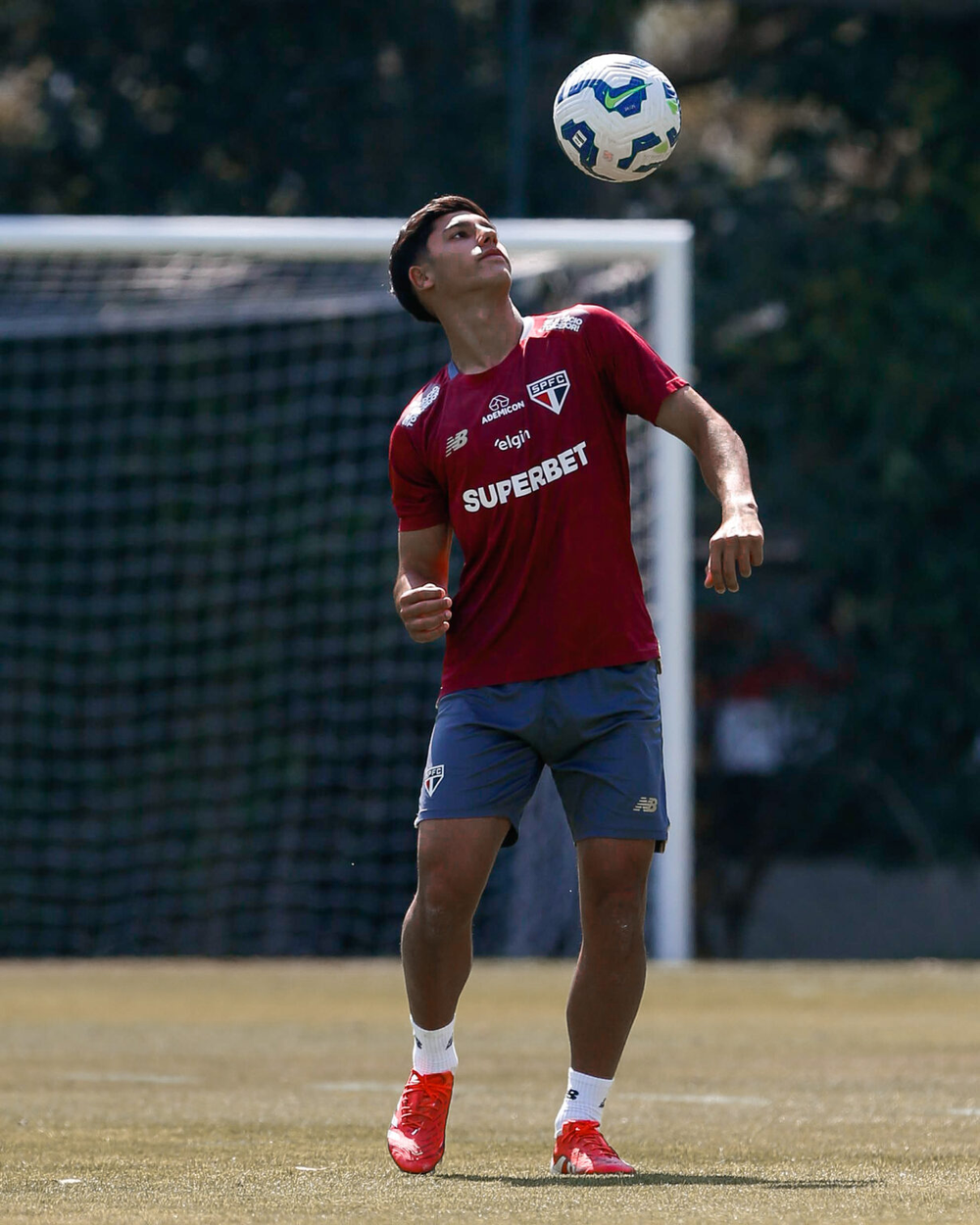 Joia 2026: torcedor e 