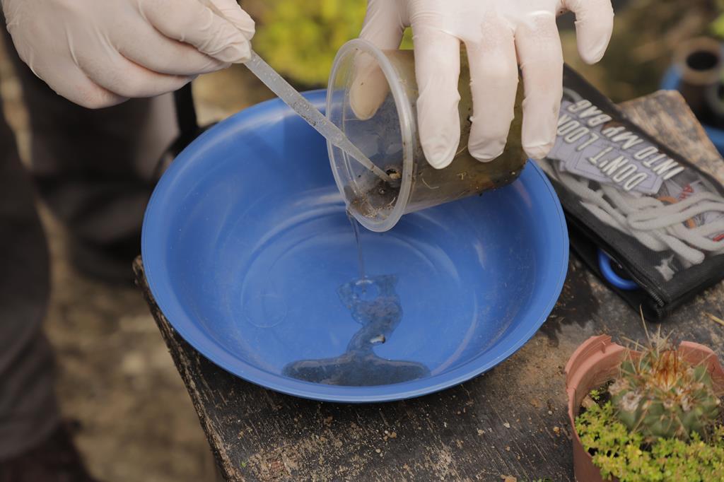 Hoje (7) será dia de mutirão contra a dengue no Jardim Silveira