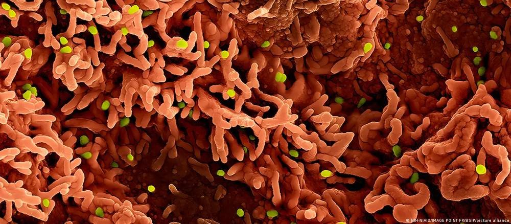 Os três vírus que podem desencadear novas crises em 2026