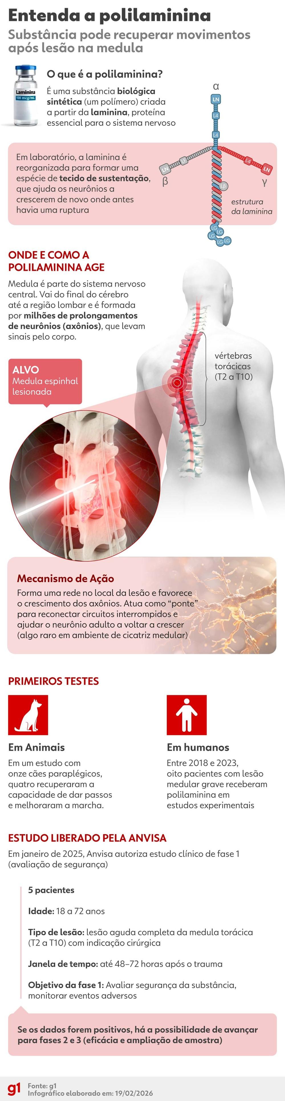 Exclusivo: pesquisadora da polilaminina admite erros em gráfico, problemas de escrita e alega que pesquisa vai ter nova versão