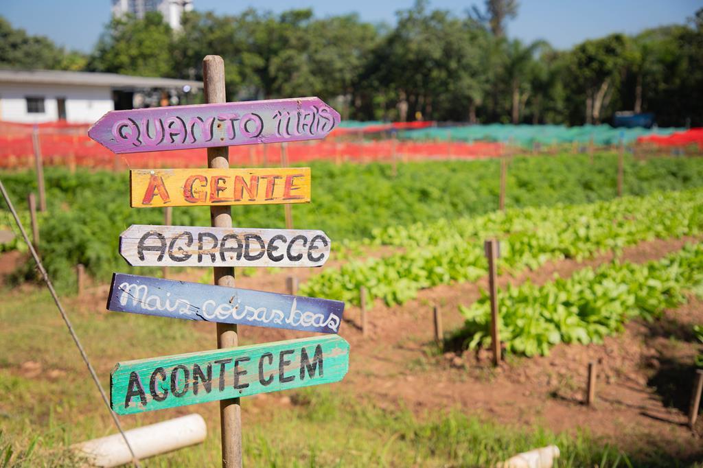 Programa ReNascer recebe sua nona equipe