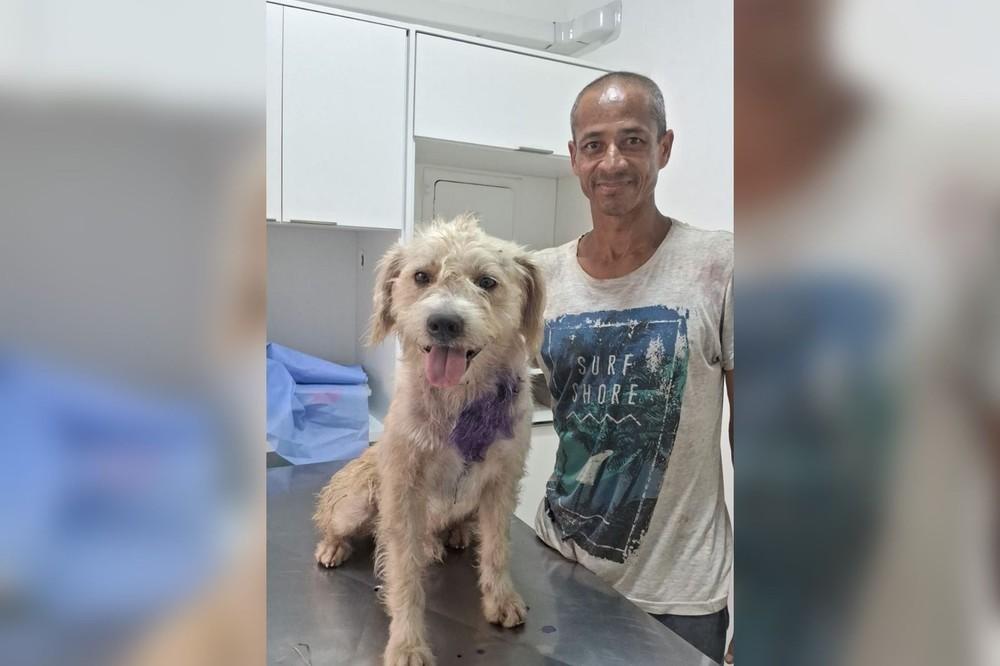 Homem em situação de rua deixa carta em ONG pedindo ajuda para cão doente no interior de SP: 'Por favor, me ajudem, eu imploro'