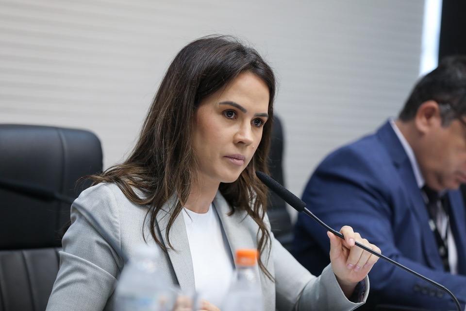 Comissão de Saúde da Alesp é um compromisso com a Saúde e bem-estar
