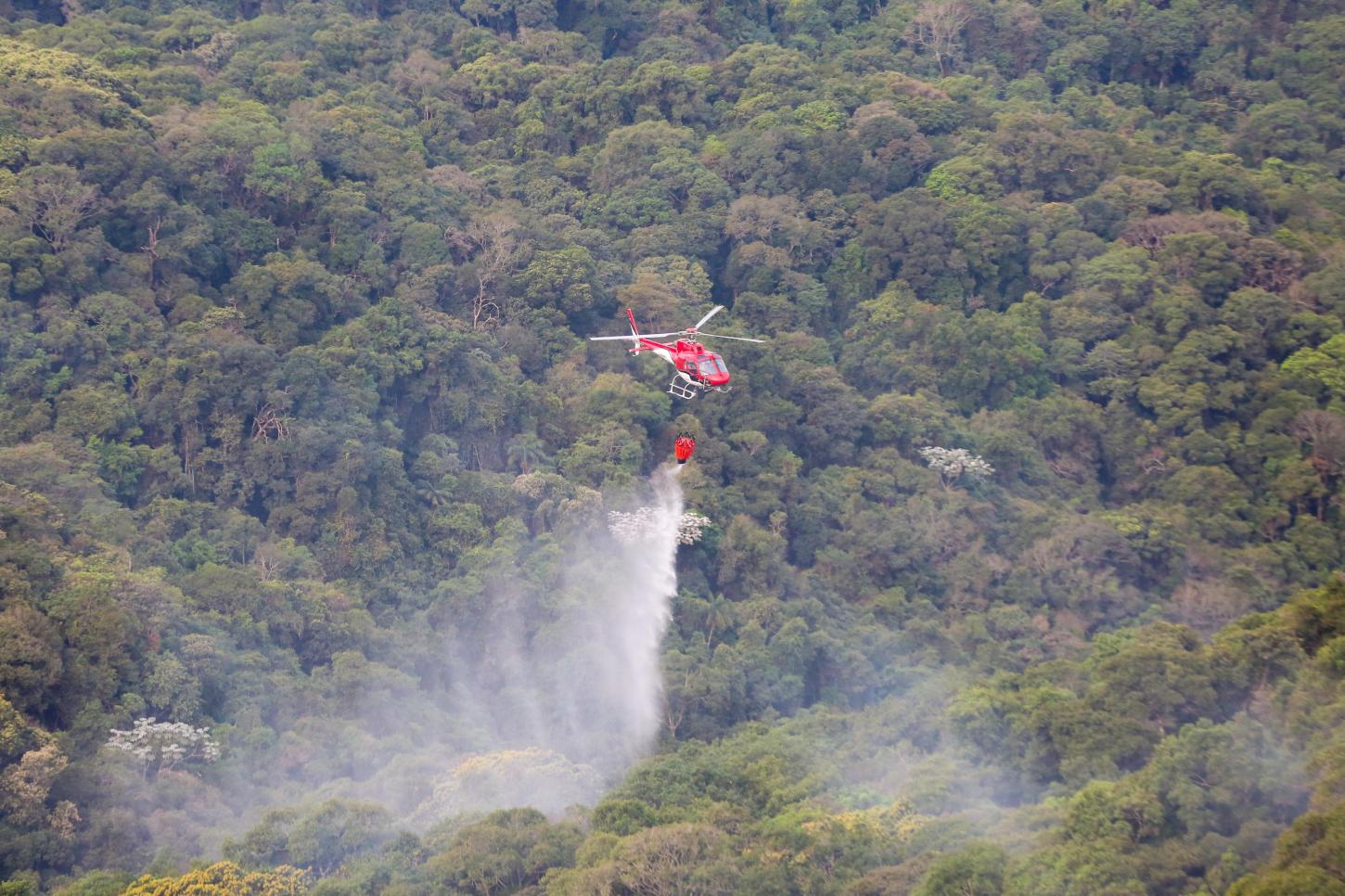 Governo de SP lança fase vermelha da Operação SP Sem Fogo com cerca de R$ 400 milhões em investimentos